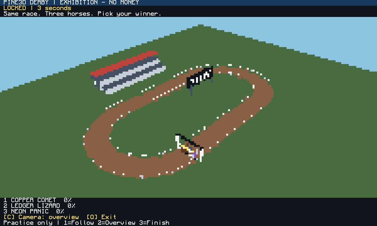 Pine3D Derby overview and follow camera